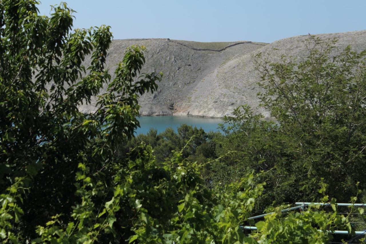 Family Friendly Seaside Apartments Vlasici, Pag - 4319 Esterno foto